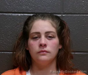 Mugshot of STEVIE RENEE LAICHE