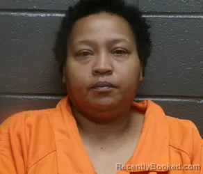 Mugshot of SHATISHA LASHAY BURNS