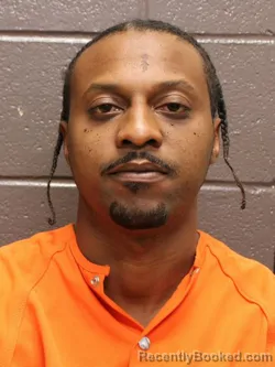 Mugshot of LEO MITCHELL