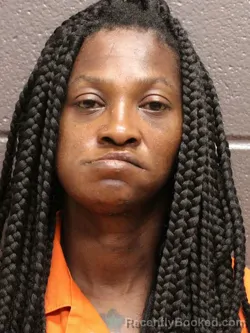 Mugshot of SHANGOLISHA T DAVIS