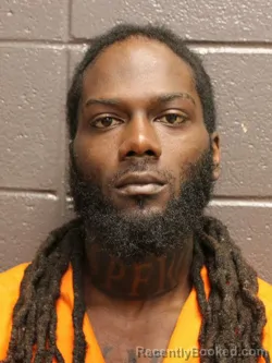 Mugshot of COURTNEY CHRISTIAN DAVIS booked in St James County, Louisiana on March 18, 2026