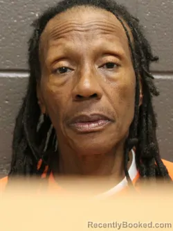 Mugshot of SONJA S JONES booked in St James County, Louisiana on April 4, 2026