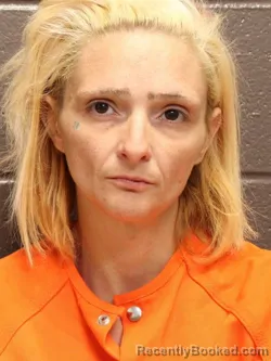 Mugshot of DANIELLE PRESLEY WILLIS booked in St James County, Louisiana on May 29, 2026