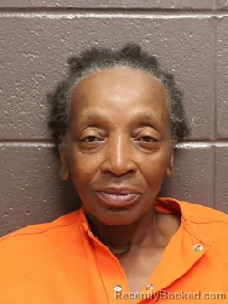 Mugshot of JANICE FAY JOHNSON booked in St James County, Louisiana on July 7, 2026