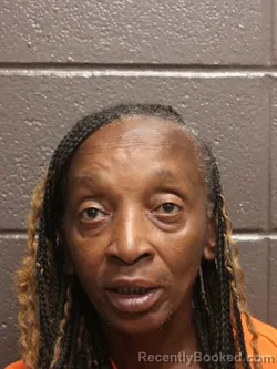 Mugshot of Janice Fay Johnson booked in St James County, Louisiana on September 14, 2026