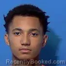 Mugshot of ASHLEY JR JOHNSON