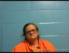Mugshot of LISA A FONTENOT