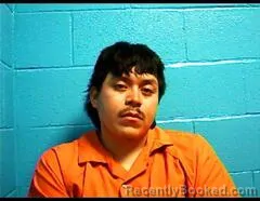 Mugshot of LUIS M LUCIO