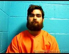 Mugshot of AARON N WILLIAMS