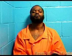 Mugshot of BRENNAN N SKINNER