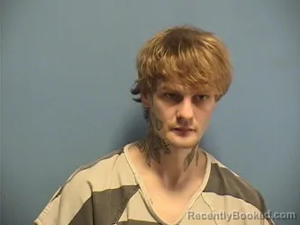 Mugshot of BRUCE METZ