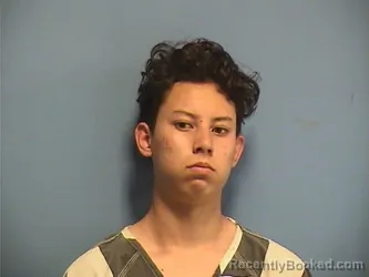 Mugshot of DOMINIC DINH booked in St Tammany County, Louisiana on March 21, 2026