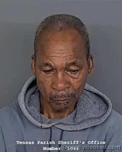 Mugshot of DANNY CORNELIOUS CLARK booked in Tensas County, Louisiana on April 7, 2026