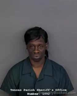 Mugshot of JANICE M SIMS