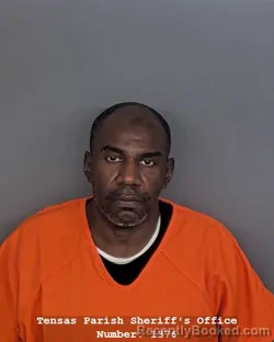 Mugshot of JERMAINE JOHNSON