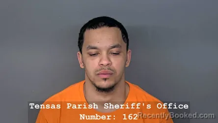 Mugshot of LEE O BAILEY