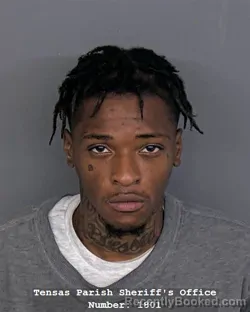 Mugshot of DECORREY BRIDGES booked in Tensas County, Louisiana on April 6, 2026