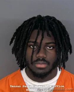 Mugshot of KAYDEN STEWART