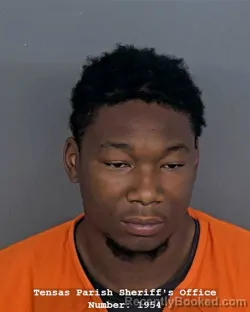 Mugshot of TERRY SCOTT