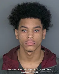 Mugshot of DAVONTA DESHAWN JAMES booked in Tensas County, Louisiana on April 2, 2026