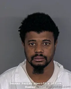 Mugshot of TERRY J WILLIAMS booked in Tensas County, Louisiana on April 9, 2026