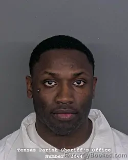 Mugshot of ALEX GRAHAM