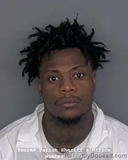 Mugshot of ARMON R WILSON