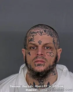 Mugshot of JANSEN M SIMON