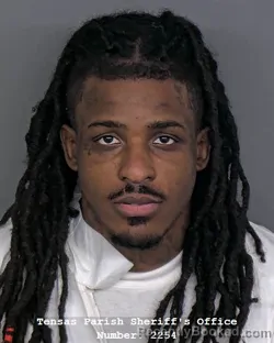 Mugshot of LEO DORSEY