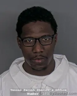 Mugshot of D'ANDRE D ROBERTS