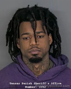 Mugshot of ANDRE ANFERNEE BATISTE