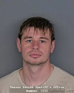 Mugshot of JUSTIN A MCALLISTER