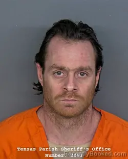 Mugshot of ANTHONY J CARMADELLE