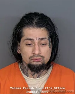 Mugshot of ARNOLD VALDESPINO