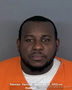 Mugshot of ERIC M ARZU GAMBOA