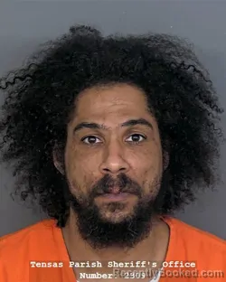 Mugshot of ANTHONY J HOLLIER