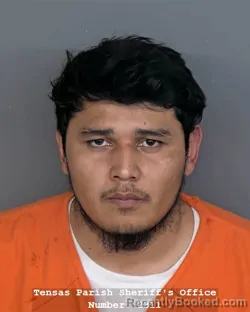 Mugshot of LUIS MARTINEZ