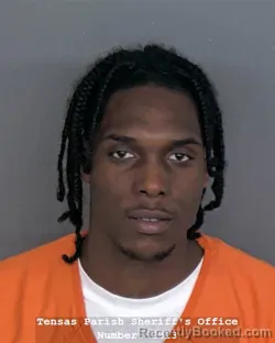 Mugshot of DESKONELL O ROBINSON