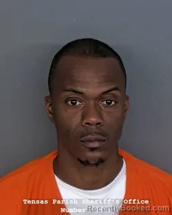 Mugshot of ANTHONY J WOODS