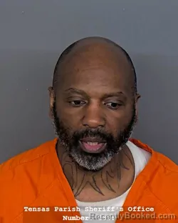 Mugshot of LANCE MICHAEL SPIKES