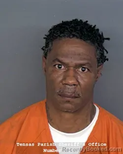 Mugshot of GERARD WELLS