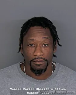 Mugshot of ERNEST GREEN