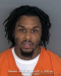 Mugshot of ARMANI Z MOUTON