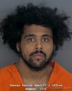 Mugshot of TYLER J PARKER