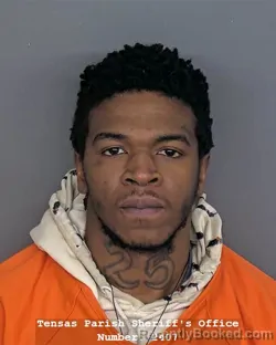 Mugshot of JACORIAN A CYPRIAN