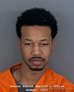 Mugshot of NORMAN E LEE