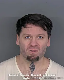 Mugshot of SHERIDAN KEY NELSON