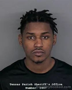 Mugshot of JAMES E ARRINGTON