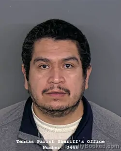 Mugshot of JOSE GUADALUPE COCA-ESCALANTE