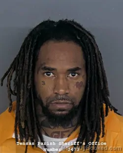 Mugshot of STEPHEN T BARNES booked in Tensas County, Louisiana on March 30, 2026